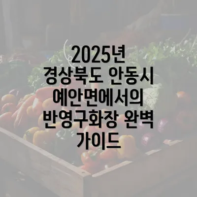 2025년 경상북도 안동시 예안면에서의 반영구화장 완벽 가이드