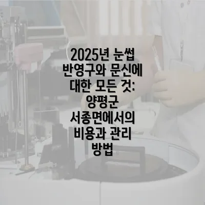 2025년 눈썹 반영구와 문신에 대한 모든 것: 양평군 서종면에서의 비용과 관리 방법