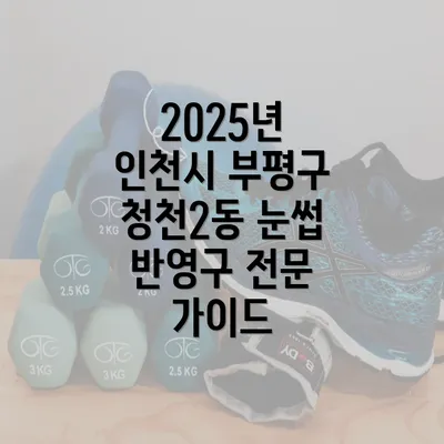 2025년 인천시 부평구 청천2동 눈썹 반영구 전문 가이드