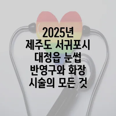 2025년 제주도 서귀포시 대정읍 눈썹 반영구와 화장 시술의 모든 것