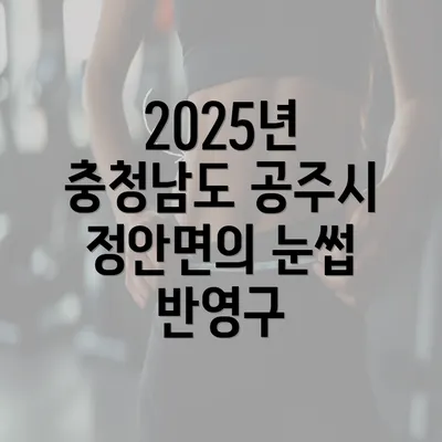 2025년 충청남도 공주시 정안면의 눈썹 반영구