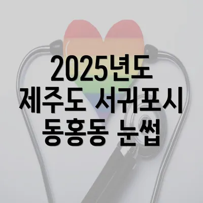 2025년도 제주도 서귀포시 동홍동 눈썹