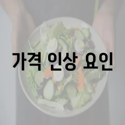 가격 인상 요인