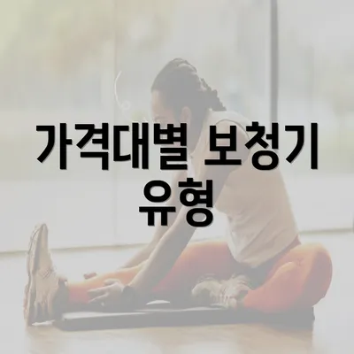 가격대별 보청기 유형