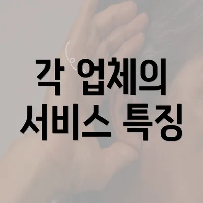 각 업체의 서비스 특징