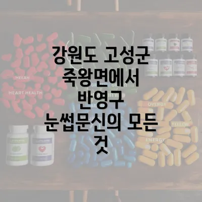 강원도 고성군 죽왕면에서 반영구 눈썹문신의 모든 것