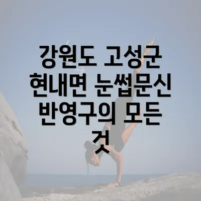 강원도 고성군 현내면 눈썹문신 반영구의 모든 것