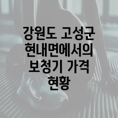 강원도 고성군 현내면에서의 보청기 가격 현황