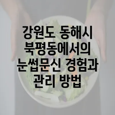 강원도 동해시 북평동에서의 눈썹문신 경험과 관리 방법