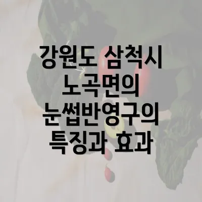 강원도 삼척시 노곡면의 눈썹반영구의 특징과 효과