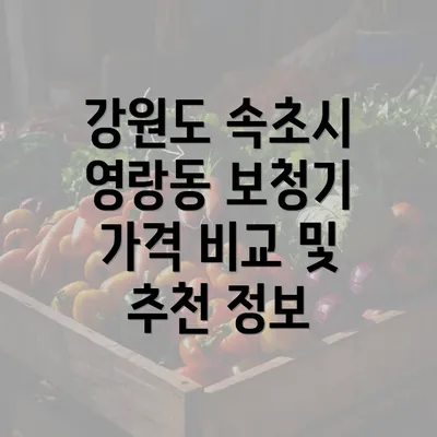 강원도 속초시 영랑동 보청기 가격 비교 및 추천 정보