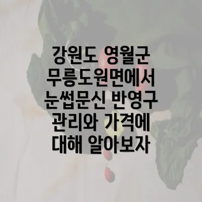 강원도 영월군 무릉도원면에서 눈썹문신 반영구 관리와 가격에 대해 알아보자