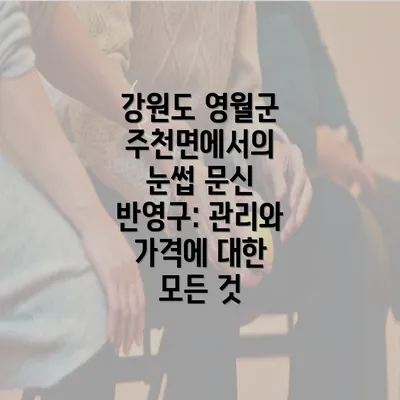 강원도 영월군 주천면에서의 눈썹 문신 반영구 시술의 인기 배경