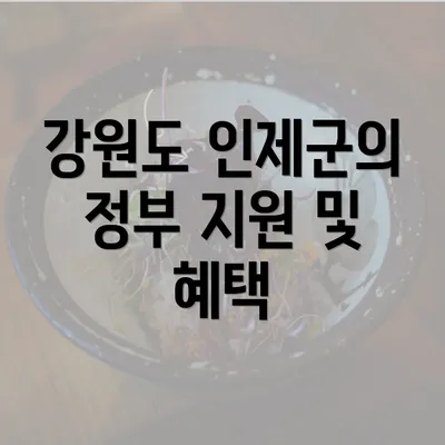 강원도 인제군의 정부 지원 및 혜택