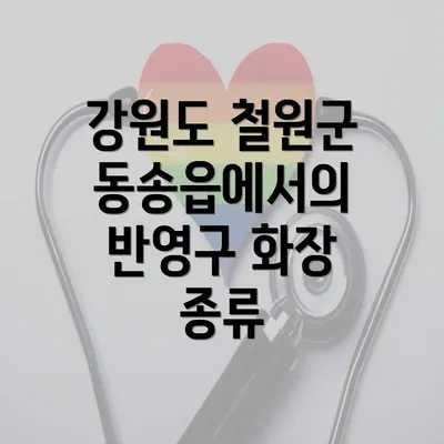 강원도 철원군 동송읍에서의 반영구 화장 종류