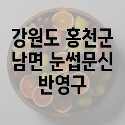 강원도 홍천군 남면 눈썹문신 반영구