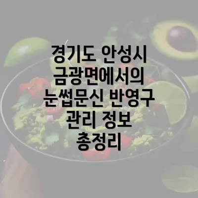 경기도 안성시 금광면에서의 눈썹문신 반영구 관리 정보 총정리