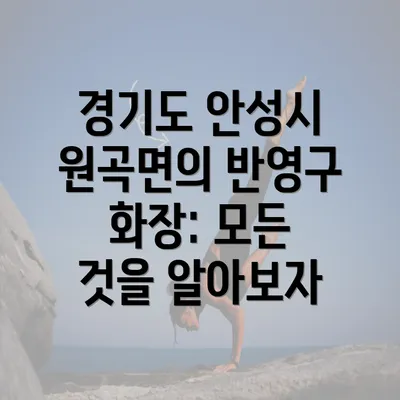 경기도 안성시 원곡면의 반영구 화장: 모든 것을 알아보자