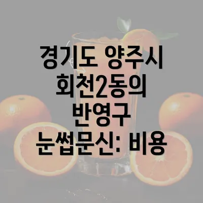 경기도 양주시 회천2동의 반영구 눈썹문신: 비용