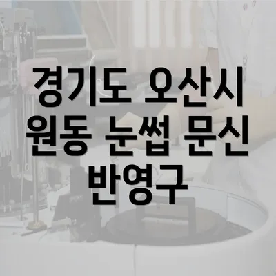 경기도 오산시 원동 눈썹 문신 반영구