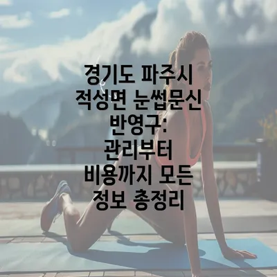 경기도 파주시 적성면 눈썹문신 반영구: 관리부터 비용까지 모든 정보 총정리