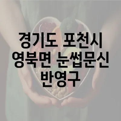 경기도 포천시 영북면 눈썹문신 반영구