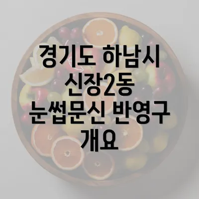 경기도 하남시 신장2동 눈썹문신 반영구 가이드