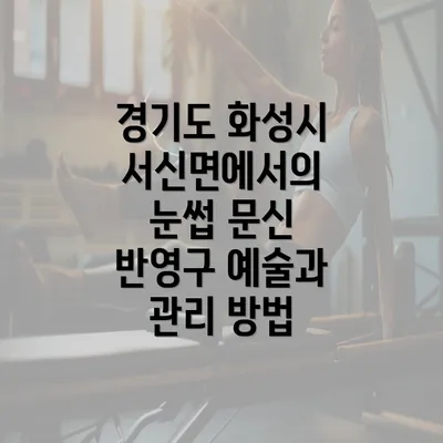 경기도 화성시 서신면에서의 눈썹 문신 반영구 예술과 관리 방법