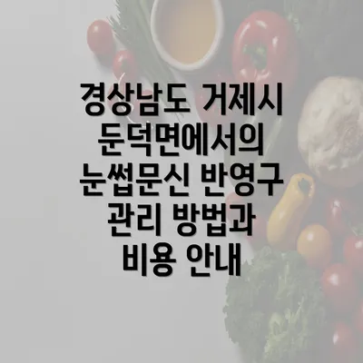 경상남도 거제시 둔덕면에서의 눈썹문신 반영구 관리 방법과 비용 안내