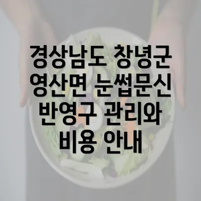 경상남도 창녕군 영산면 눈썹문신 반영구 시술의 개요