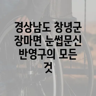 경상남도 창녕군 장마면 눈썹문신 반영구의 모든 것