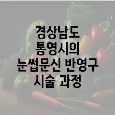 경상남도 통영시의 눈썹문신 반영구 시술 과정