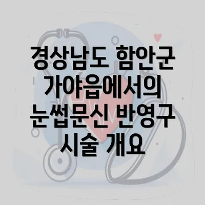 경상남도 함안군 가야읍에서의 눈썹문신 반영구 시술 개요