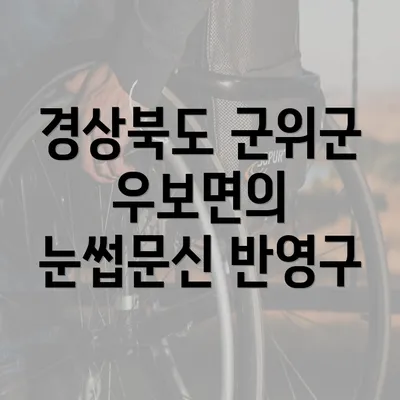 경상북도 군위군 우보면의 눈썹문신 반영구