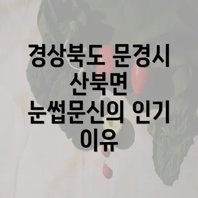 경상북도 문경시 산북면 눈썹문신의 인기 이유