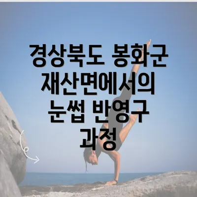 경상북도 봉화군 재산면에서의 눈썹 반영구 과정