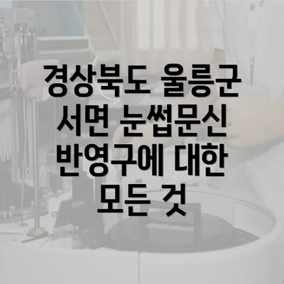 경상북도 울릉군 서면 눈썹문신 반영구에 대한 모든 것