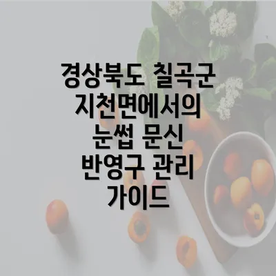 경상북도 칠곡군 지천면에서의 눈썹 문신 반영구 관리 가이드