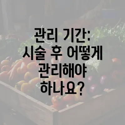 관리 기간: 시술 후 어떻게 관리해야 하나요?