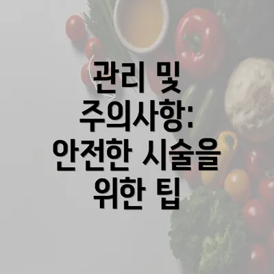 관리 및 주의사항: 안전한 시술을 위한 팁