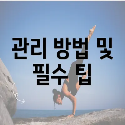 관리 방법 및 필수 팁