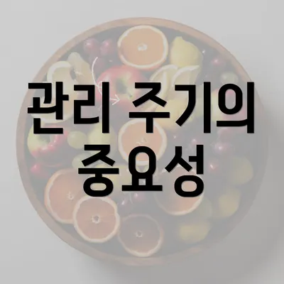 관리 주기의 중요성