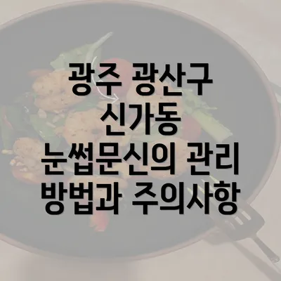 광주 광산구 신가동 눈썹문신의 관리 방법과 주의사항