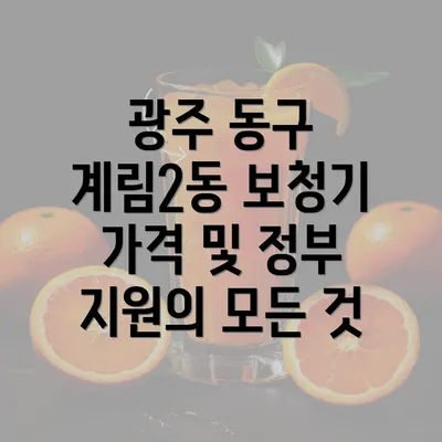 광주 동구 계림2동 보청기 가격 및 정부 지원의 모든 것