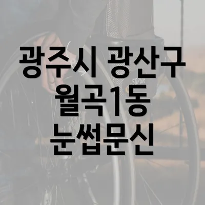 광주시 광산구 월곡1동 눈썹문신