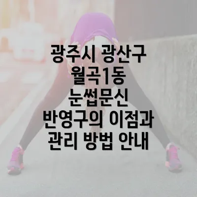 광주시 광산구 월곡1동 눈썹문신 반영구의 이점과 관리 방법 안내