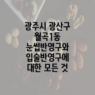 광주시 광산구 월곡1동 눈썹반영구와 입술반영구에 대한 모든 것