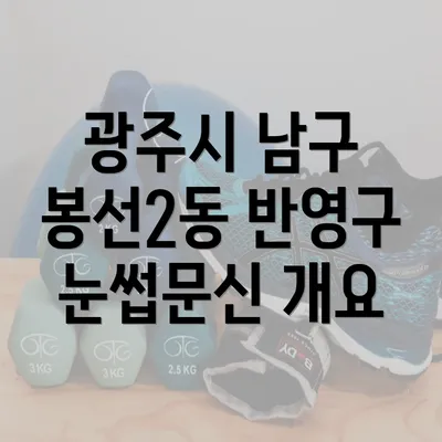 광주시 남구 봉선2동 반영구 눈썹문신 개요