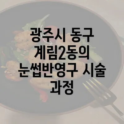 광주시 동구 계림2동의 눈썹반영구 시술 과정