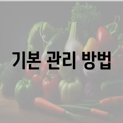 기본 관리 방법